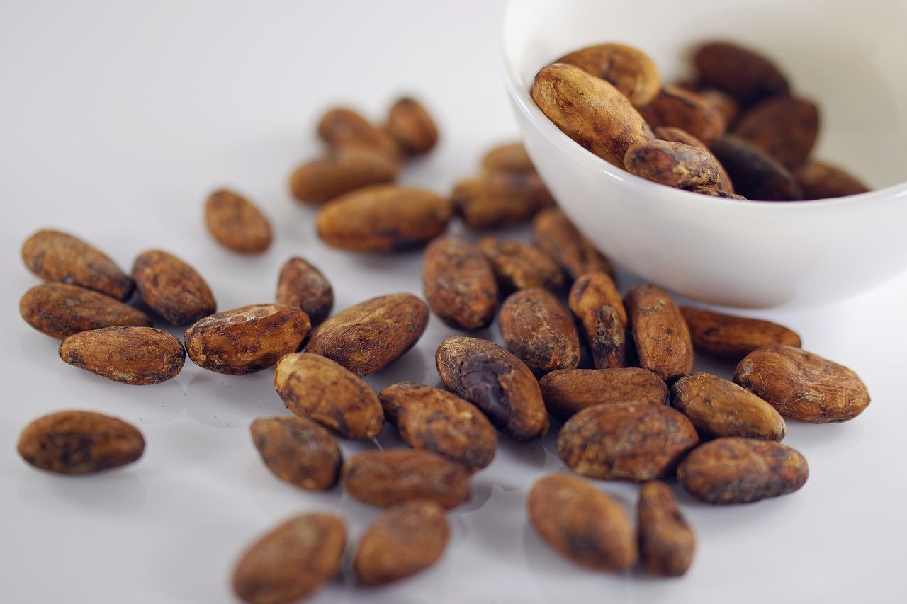 cocoa beans, beans, food