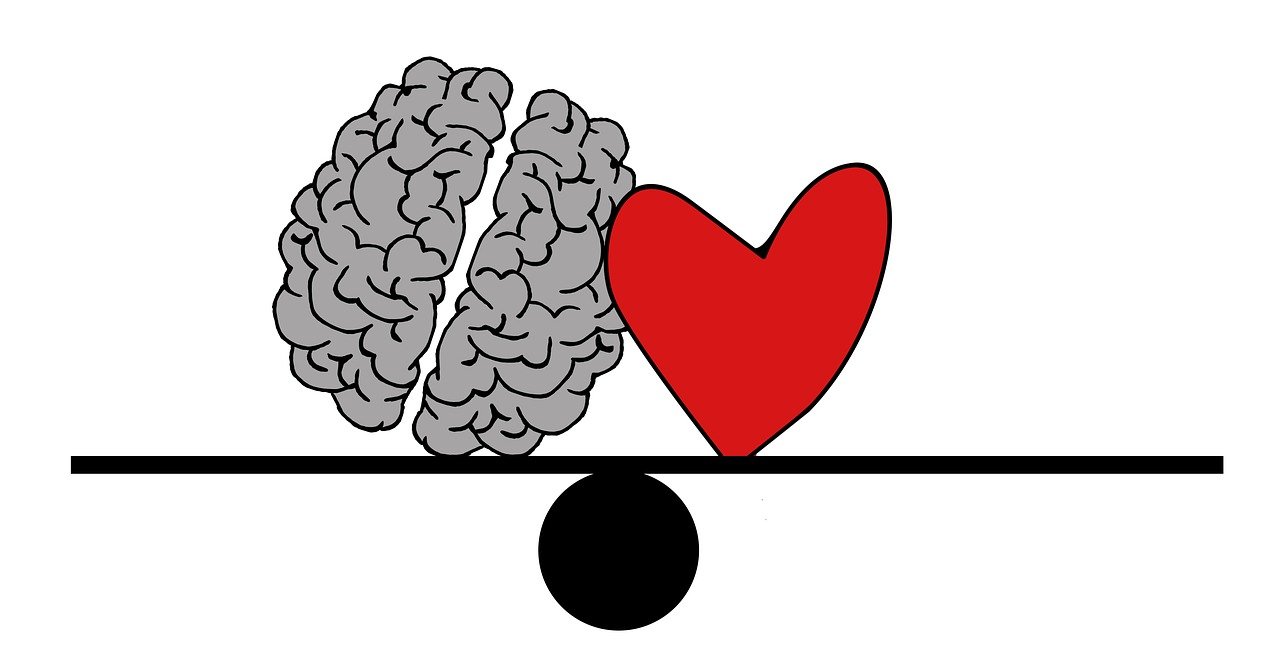 brain, head, psychology-2146157 brain, head, psychology