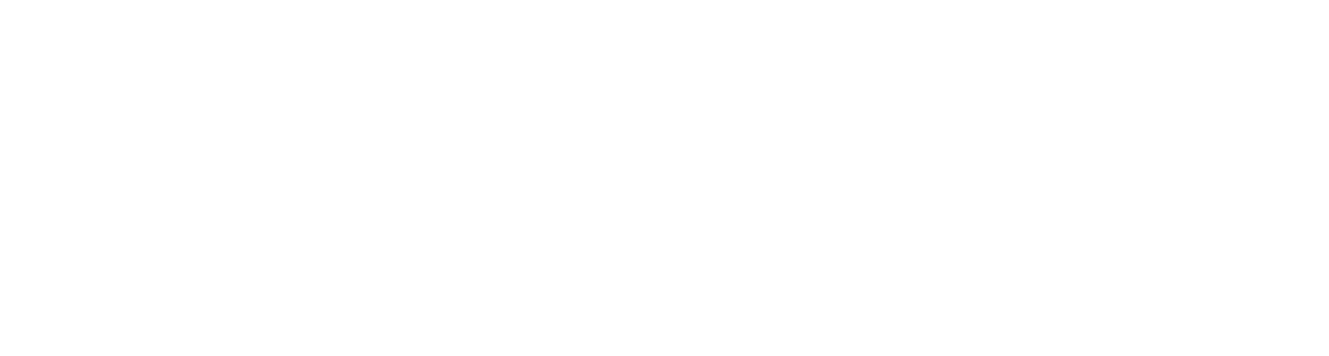 Duale Balance