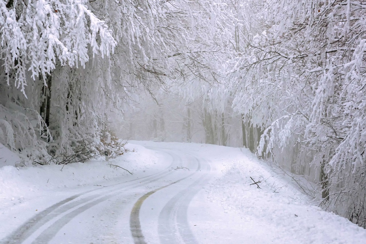 Die Magie des Wintersports: Ein Abenteuer in Schnee und Natur