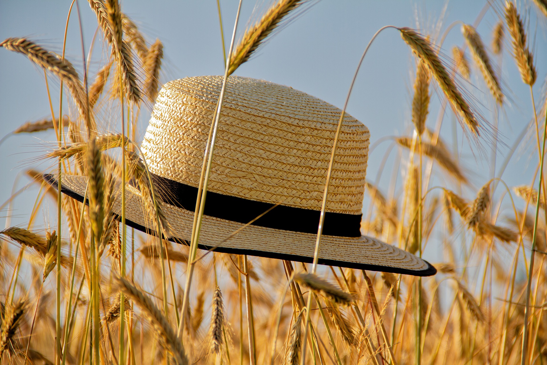 Fit für den Sommer: Tipps für den Umgang mit Insektenstichen, Schwitzen und Sonnenbrand