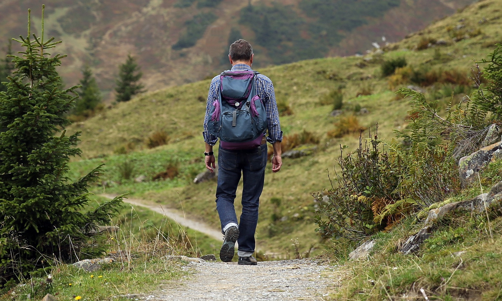 Wandern als Gesundheitsbooster: Tipps für Studierende in der Rhein-Neckar-Region