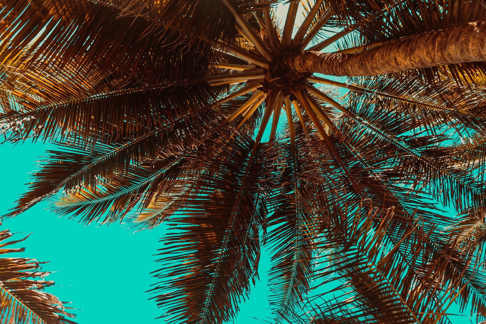 Warum Reisen so gesund ist und was Sie beim globalen Reisen beachten müssen