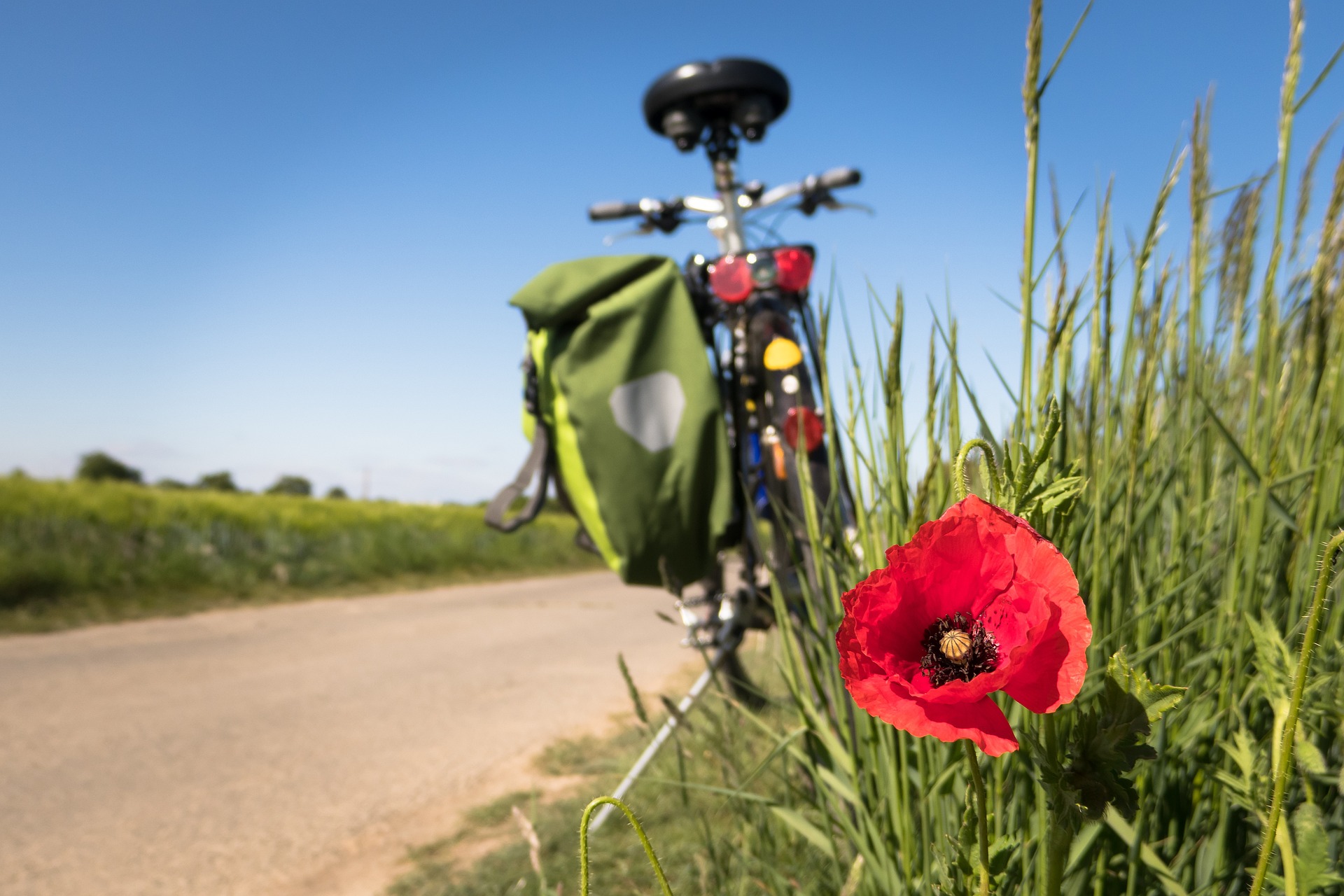 Fit durch den Spätsommer – Bewegungstipps für Studierende in Mannheim