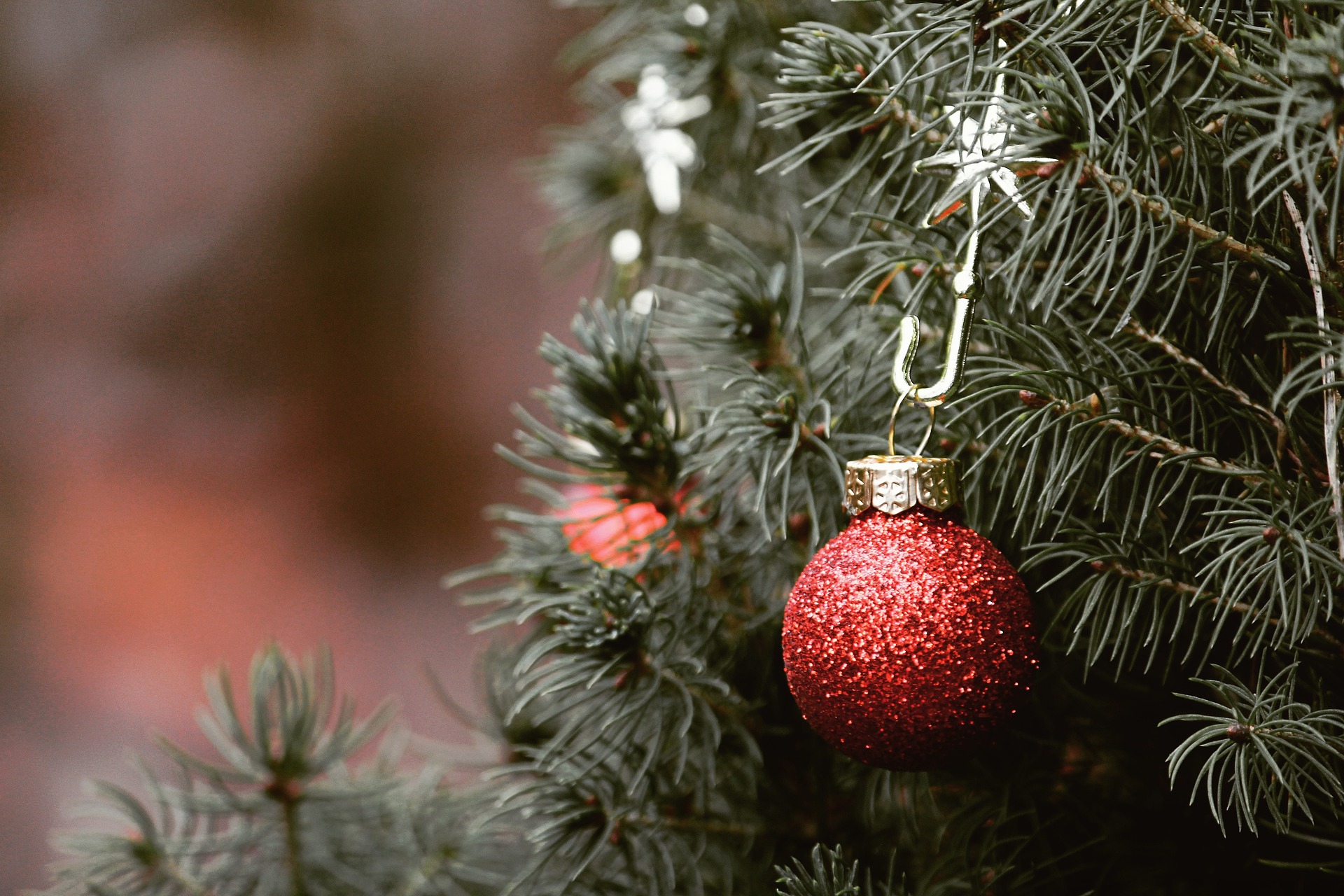 Die Vorweihnachtszeit gesund meistern: Tipps für Studierende