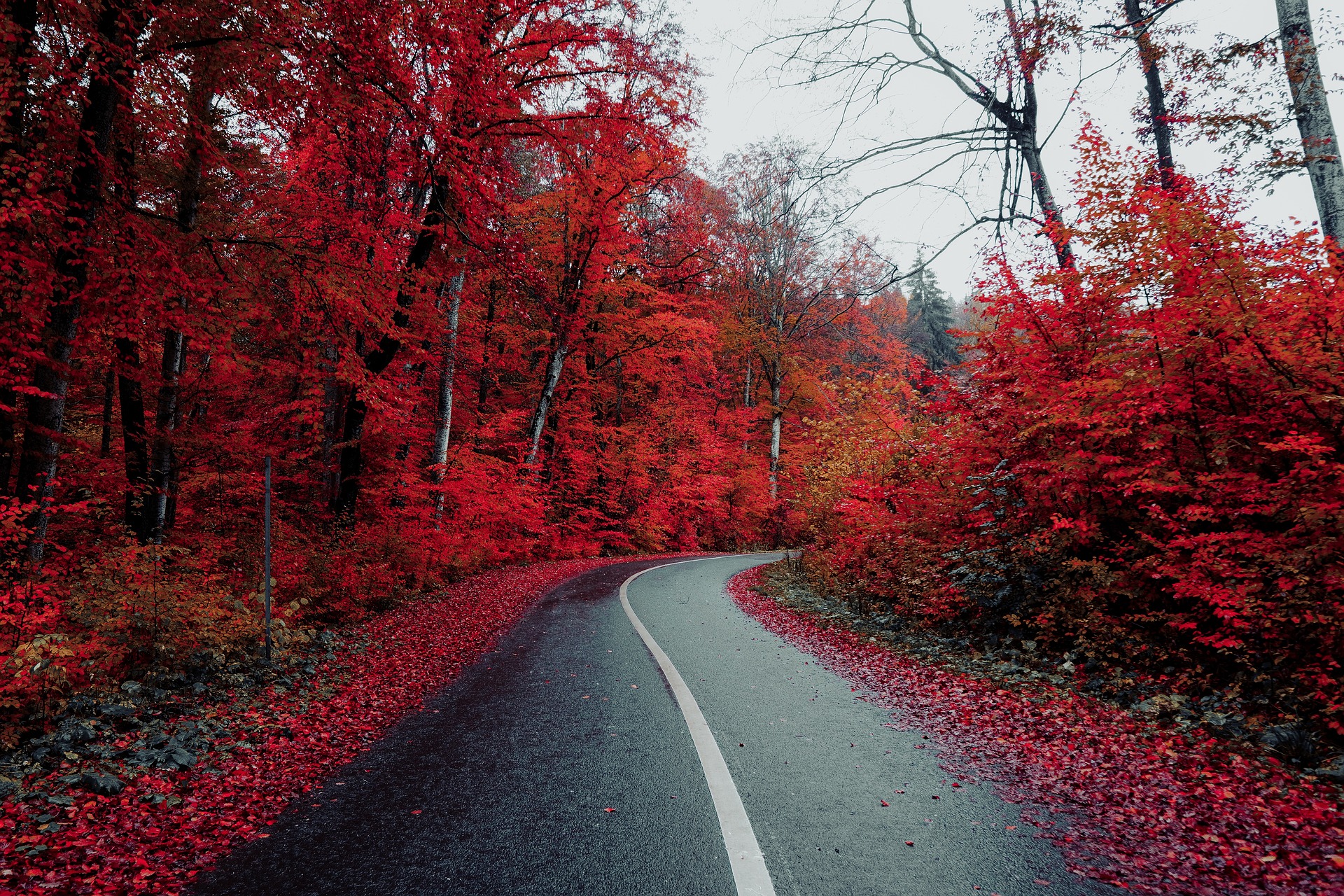 Motivation zum Lernen an tristen Novembertagen: Tipps für den Durchhaltewillen